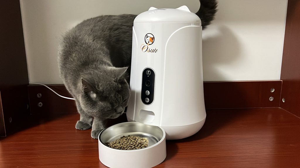 automatic feeder for cats
